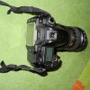 D80