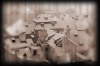 Roofs