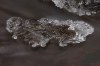 4855922181223924258.jpg