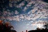 Night Clouds