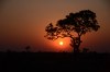 AFRIKA 2012