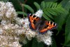 Makro kosmos