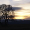 My way home ...