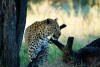Namibia 2012