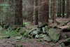 Šumava