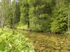 Hnilec river