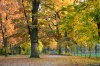 Zámocký park