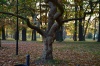 Zámocký park 3