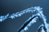 Frozen