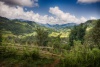 severní Vietnam
