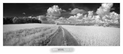 Nikon D70s upravený na IR fotografii + AF-S 16-85mm f/3,5-5,6 VR