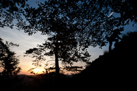 Chřibský vrch