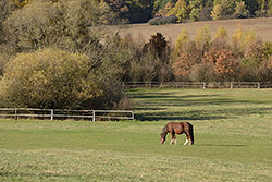 130mm; f/11; 1/320; ISO 400